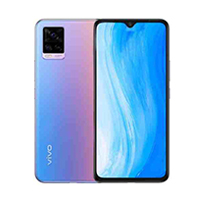 V20 Pro