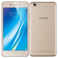 Vivo Y53