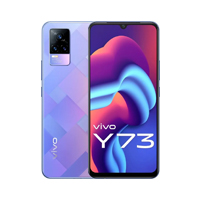 Y73 2021