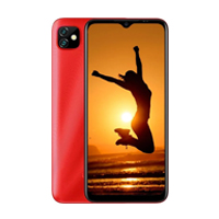 Gionee Max Pro